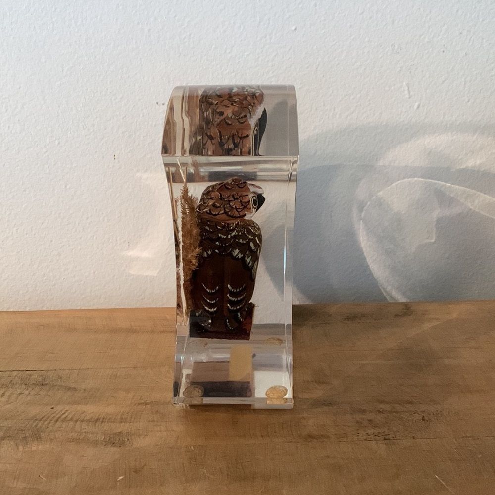 Vintage Mid-Century Hand Carved Wooden Owl Encased in Lucite Shaped Moon - Picture 5 of 8